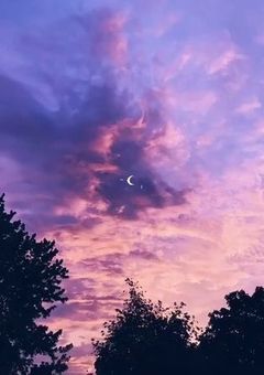 　fw ￤ 檻の姫は夜に溶ける