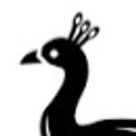 紫雲さんのアイコン画像