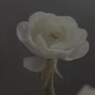 ぽちゃさんのアイコン画像