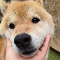 そらさんのアイコン画像