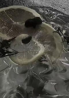 　お 人 形 さ ん の 成 り 代 わ り は 可 哀 想