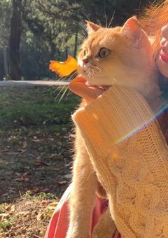 愛され実況者 , インスタ始めました【マイクラ実況者】