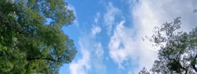 りーさんの壁紙画像