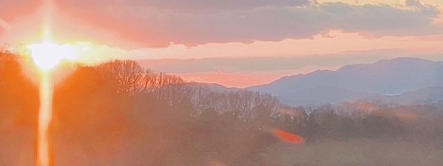 hitomi 🐼🐾“さんの壁紙画像