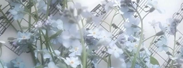 ろ なさんの壁紙画像