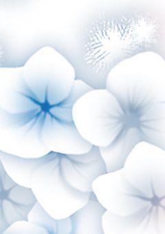 学校に居座る“毒を持つ海月”