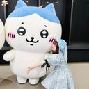 つーさん（主）