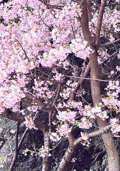 堕天使のモブA