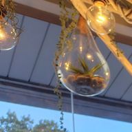 幽々さんのアイコン画像