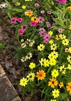 成人男性が本気でおままごとをした結果　。