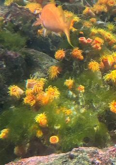 成人男性が本気でおままごとをした結果 。　【 実氵兄者 】