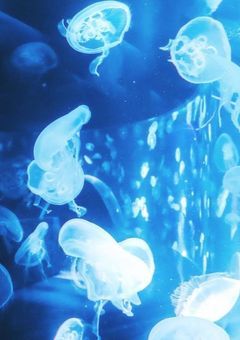 推し活𝚛𝚘𝚘𝚖•*¨*•.¸♬︎