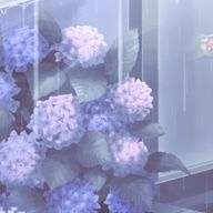 yohira_さんのアイコン画像