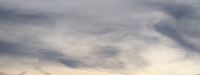 結月 ＠🎲 🍑さんの壁紙画像