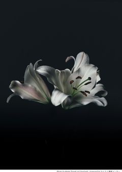 黒く、染まってしまえ。