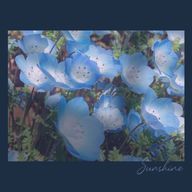 汐月 夕桜さんのアイコン画像
