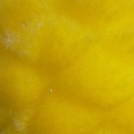 たほさんのアイコン画像