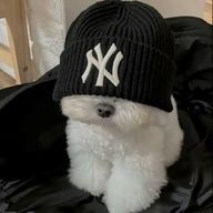 まるちーず🎧🌷さんのアイコン画像