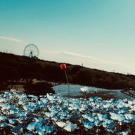 林々（はやしきき）さんのアイコン画像