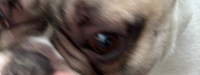 じろうさんの壁紙画像