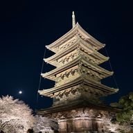 星之瞬キさんのアイコン画像