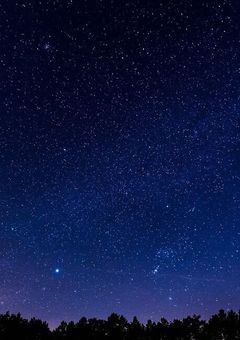 夜風に運ばれて来た子【配信部屋】