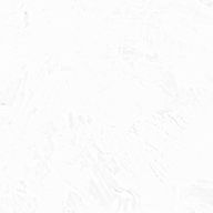 りさちさんのアイコン画像