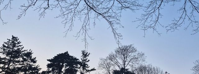 お馬鹿　☄️🪻🩵さんの壁紙画像