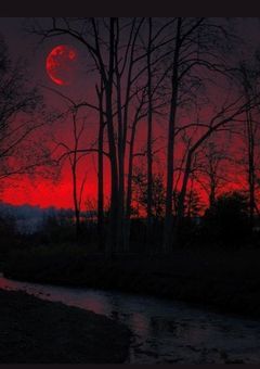 私が絶対あなたを救ってやる、だから安心しろ