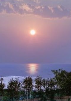 学校の転校生はモテモテみたいです