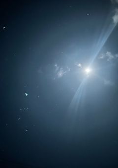 つりひきは、実は…