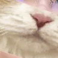 タカタカさんのアイコン画像