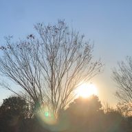 るあさんのアイコン画像