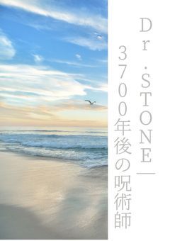 Dr.STONE｜3700年後の呪術師