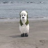 はるさんのアイコン画像