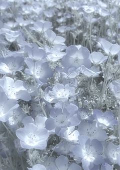 なんか女体化してんだけど