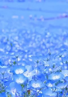 絶対服従  "  メイド "  さん