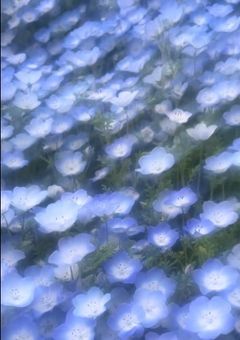 看守たちはバカップル