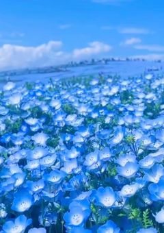 生徒会長様には逆らえない