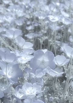 先輩にドMなのバレました