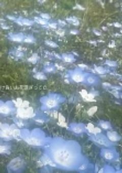 人気活動者の俺らは