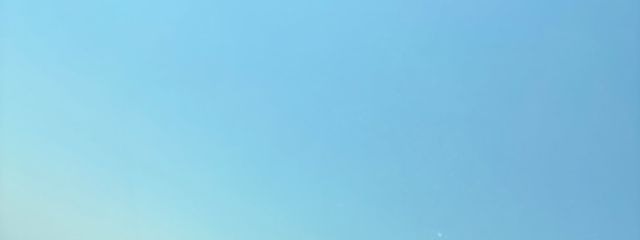 海麻さんの壁紙画像