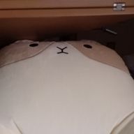 あくびさんのアイコン画像