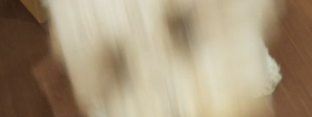 るなむーんさんの壁紙画像