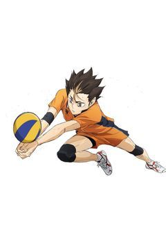 身 長 差  － 1 0 セ ン チ