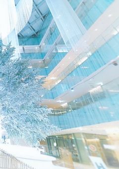 僕に頼り方を教えてください