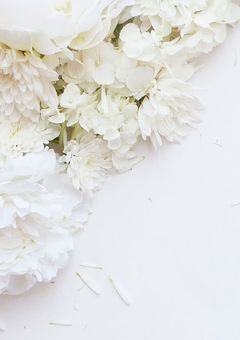  ꒰ঌʚ雑談ɞ໒꒱