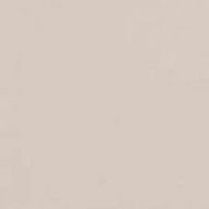 ⚠️無浮上⚠️  𐔌՞⁔•͈ ·̫ •͈⁔՞𐦯さんのアイコン画像