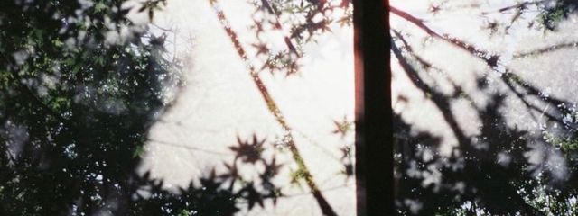 ๐๐ก๐ฒ๐ท๏ธ๏ธโใใใฎๅฃ็ด็ปๅ