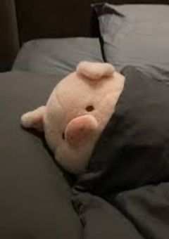 📍 お話しよう❕